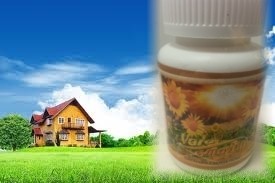 SUPLEMENTO ALIMENTICIO "MACA"